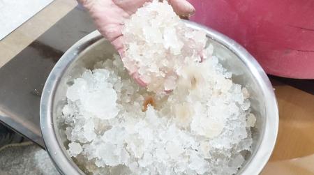 جشنواره تابستانه هیدروژل کشاورزی؛ فرصتی ویژه برای صرفه جویی در آب و هزینه ها