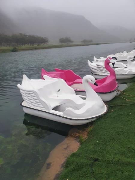 قایق پدالی قو در رنگ های مختلف