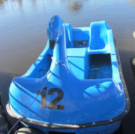 قایق پدالی قو در رنگ های مختلف