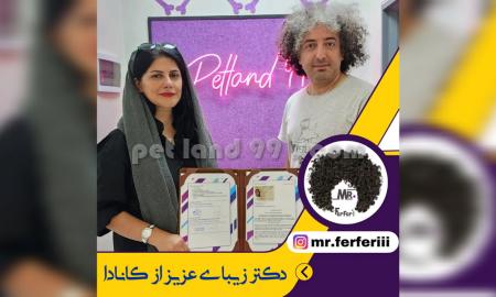 آموزشگاه اصلاح حیوانات خانگی