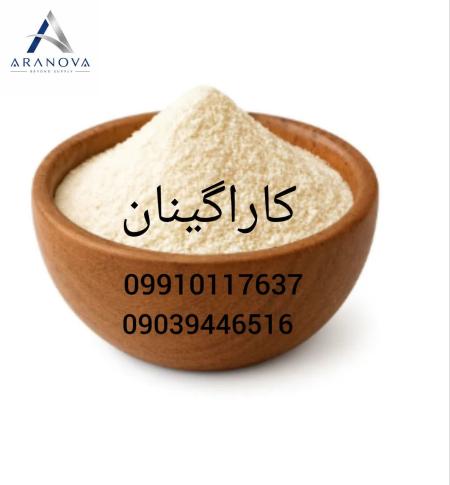 فروش کاراگینان و تأمین انواع کاراگینان خوراکی و صنعتی | بازرگانی آرانوا وارد کننده کاراگینان