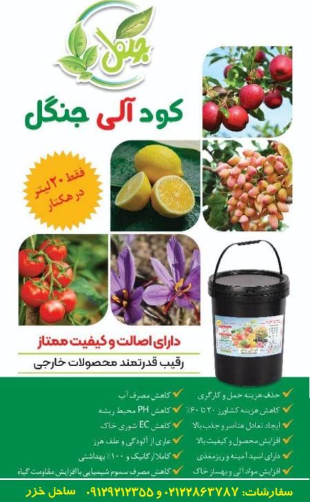 کود آلی جنگل
